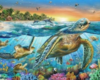 Картины по номерам 40х50: Морские черепахи