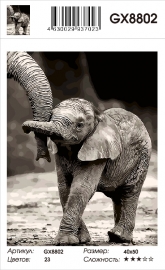 Слонёнок - Слонёнок