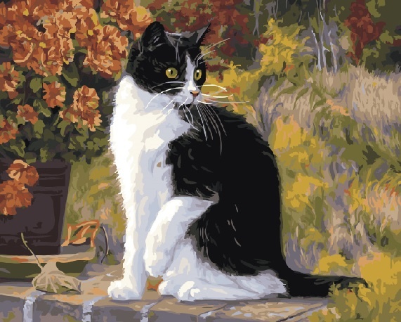 Чёрно белый кот арт - 74 фото