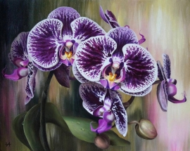 Фиолетовый цветок - Фиолетовый цветок