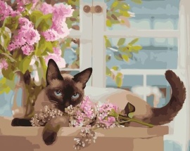 Кот с цветком - Кот с цветком