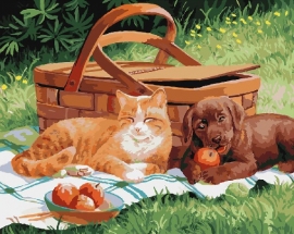 Кот и щенок на пикнике - Кот и щенок на пикнике