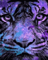Картины по номерам 40х50: Фиолетовый тигр