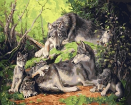 Волчья семья - Волчья семья