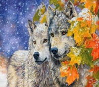 Картины по номерам 40х50: Два волка