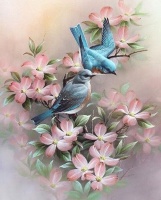 Картины по номерам 40х50: Птицы на цветах