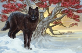 Чёрный волк - Чёрный волк