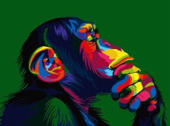 Радужная шимпанзе