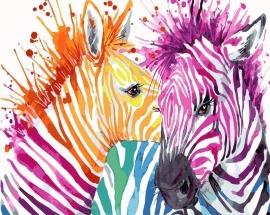 Радужные зебры - Радужные зебры