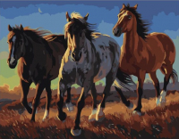 Картины по номерам 40х50: Три коня