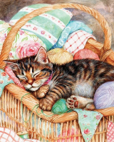 Картины по номерам 40х50: Котёнок в корзинке