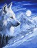 Белый волк - Белый волк